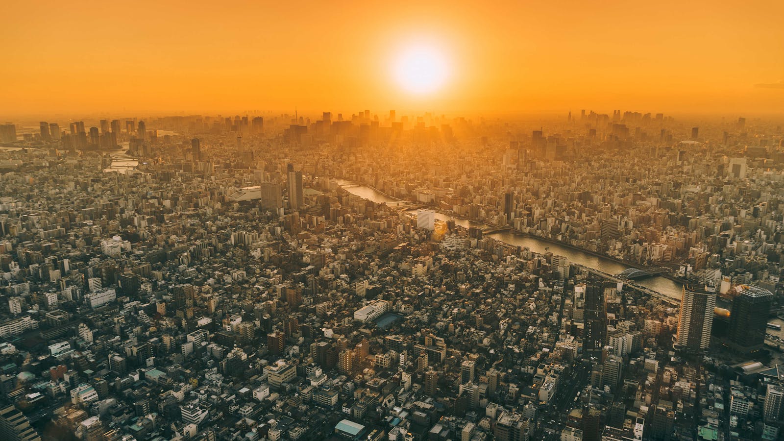 Вопиющие грехи и их высшая цель в славе Христа. Джон Пайпер 