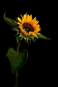 Где в наслаждении прячется идолопоклонство. Джон Пайпер